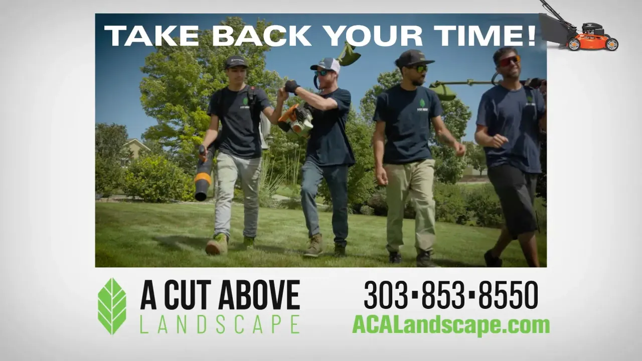 A Cut Above Landscape overview