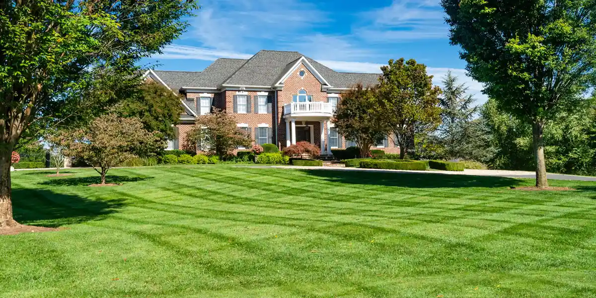 Close-up of crisp mow stripes on a healthy green lawn